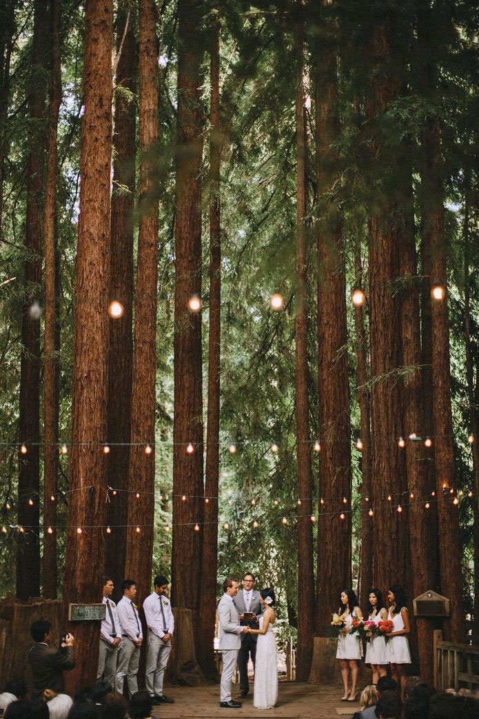 decor ceremonie mariage dans une foret